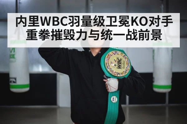 内里WBC羽量级卫冕KO对手重拳摧毁力与统一战前景