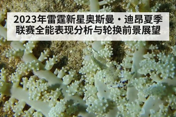 2023年雷霆新星奥斯曼·迪昂夏季联赛全能表现分析与轮换前景展望