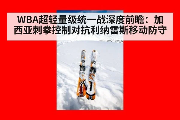 WBA超轻量级统一战深度前瞻:加西亚刺拳控制对抗利纳雷斯移动防守